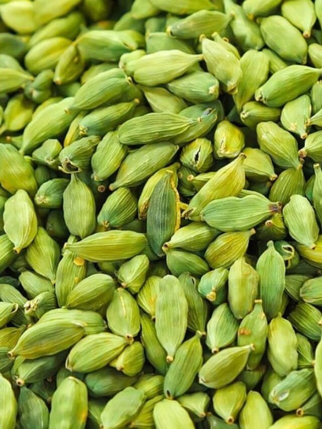 हरी इलायची खाने के जबरदस्त फायदे – सेहत के लिए रामबाण!